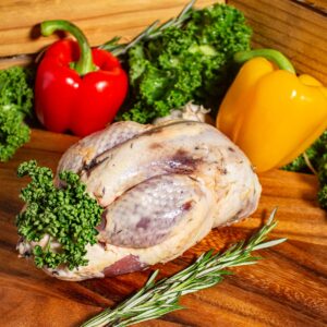 Pheasant